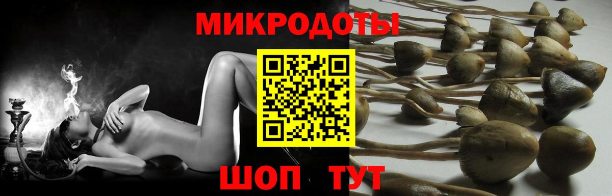 Псилоцибиновые грибы Psilocybine cubensis  Вход с VPN  Волхов 